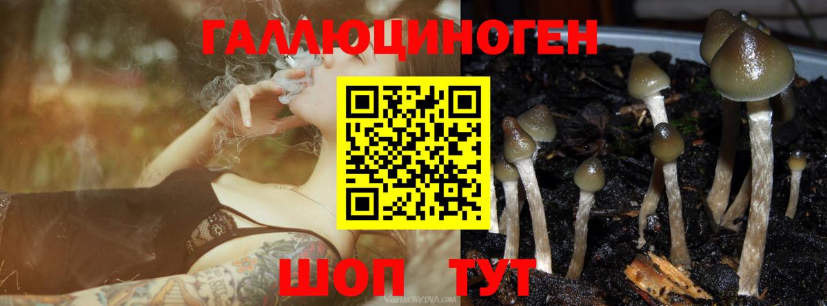 Галлюциногенные грибы Cubensis  Вход с VPN  Ростов Великий 
