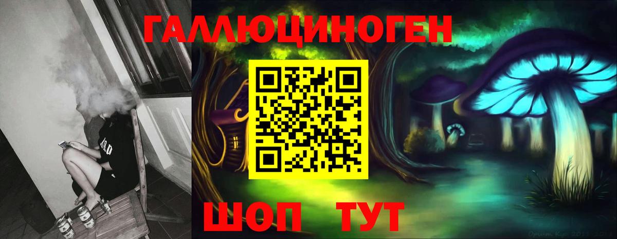 Галлюциногенные грибы Psilocybe Ростов Великий
